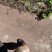 ����Ϊ����ȡһ�������ı���ɣ���