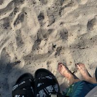 ��һ����������Ƭ