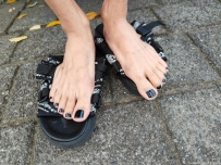 ���������ǰ���չʾ������[10P]